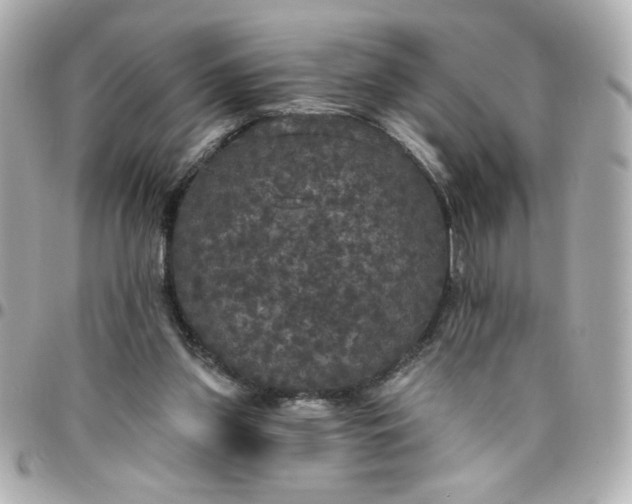 X0000096490157200802071951