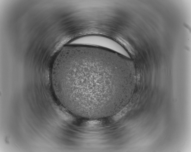 X0000096490158200802071951