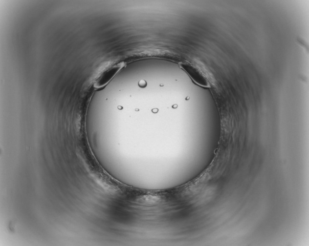 X0000096490159200802071951