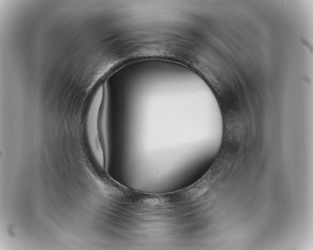 X0000096490160200802071951