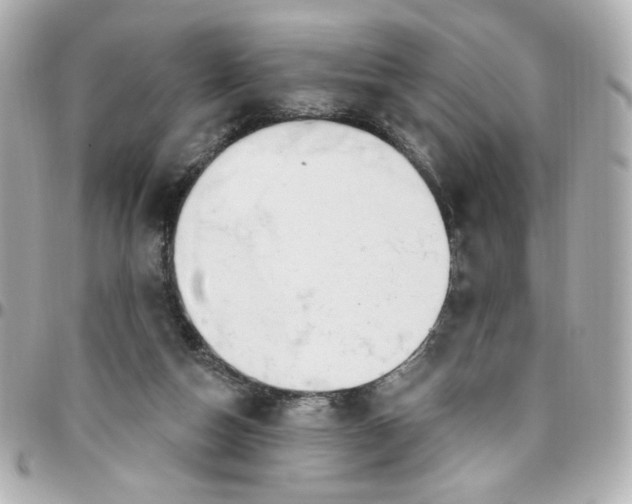 X0000096490162200802071951