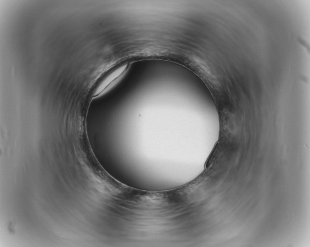 X0000096490164200802071951