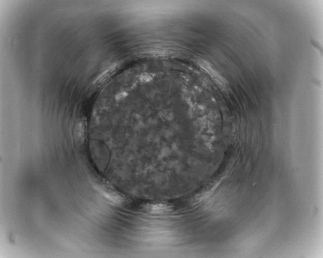 X0000096490165200802071951