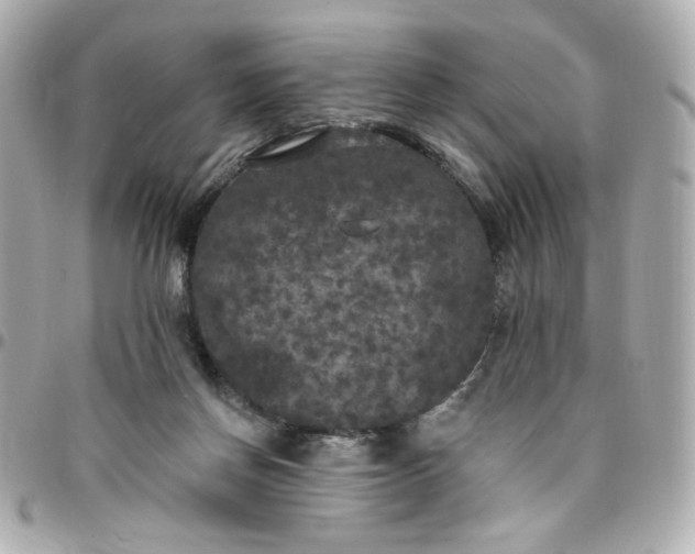 X0000096490166200802071951