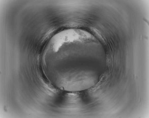 X0000096490167200802071951