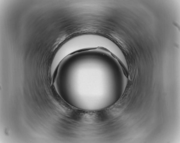 X0000096490168200802071951