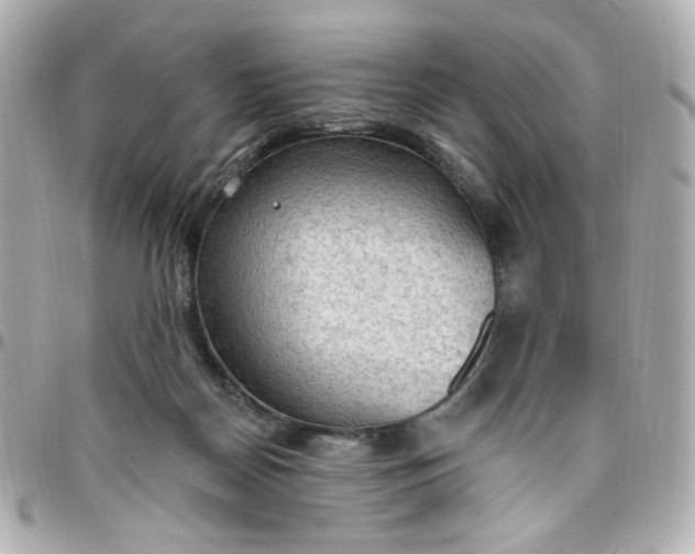 X0000096490170200802071951