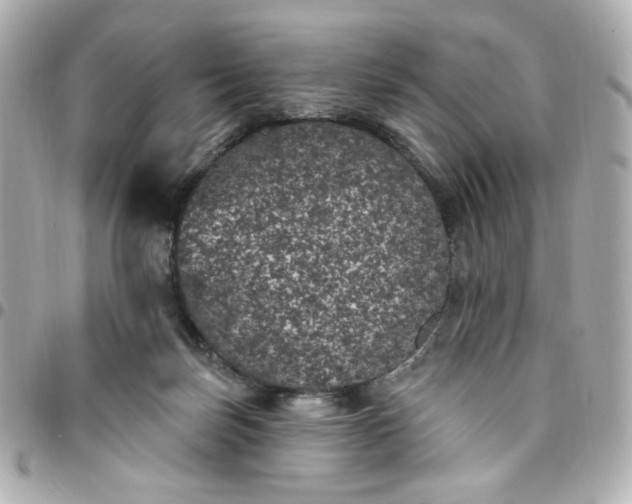 X0000096490171200802071951