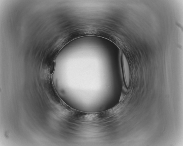 X0000096490172200802071951