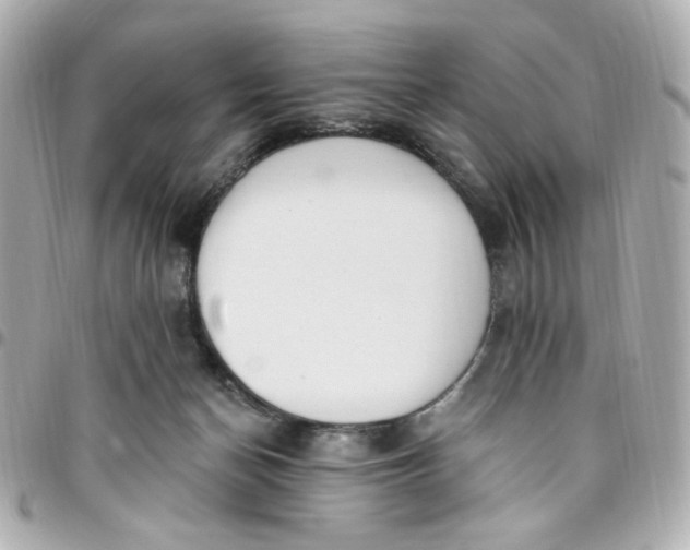 X0000096490174200802071951