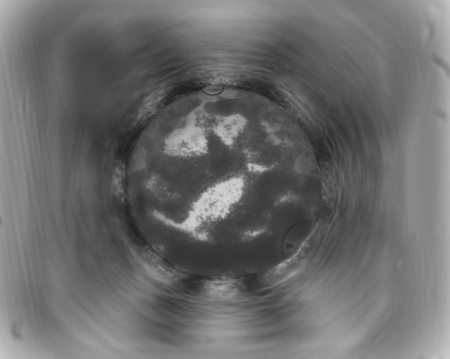 X0000096490175200802071951