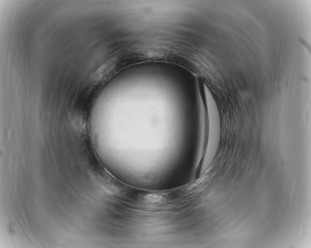 X0000096490176200802071951