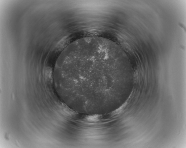 X0000096490178200802071951