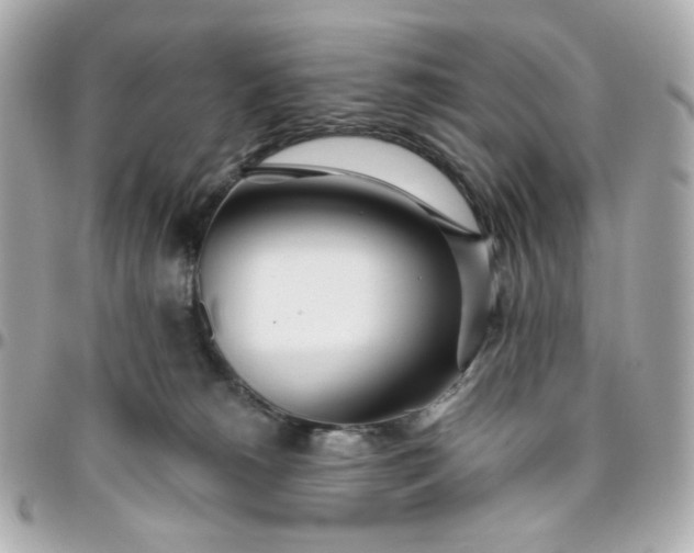 X0000096490180200802071951