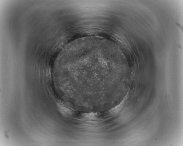 X0000096490182200802071951