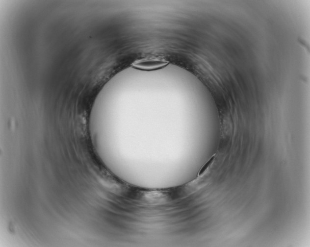 X0000096490183200802071951