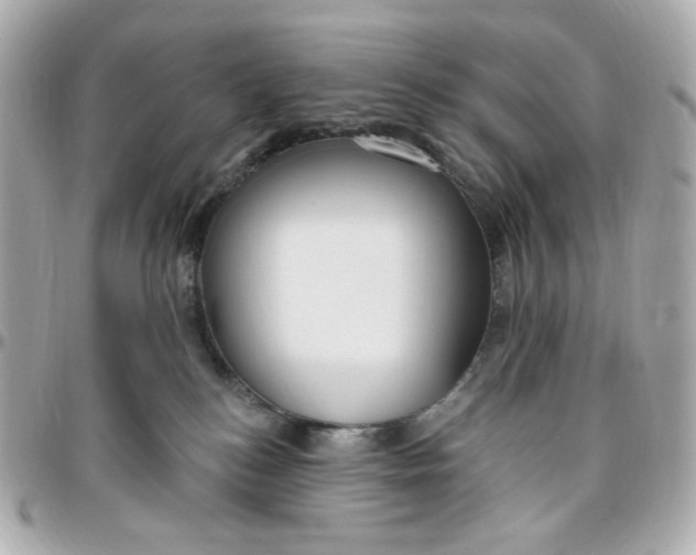 X0000096490184200802071951