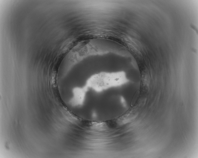 X0000096490185200802071951