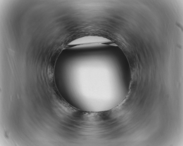 X0000096490186200802071951