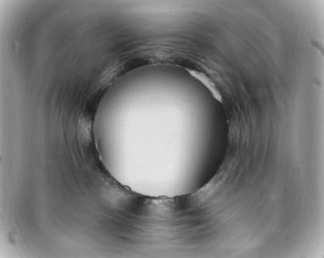 X0000096490188200802071951