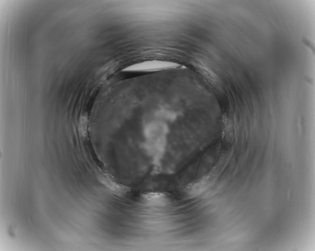 X0000096490189200802071951