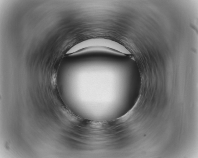 X0000096490190200802071951