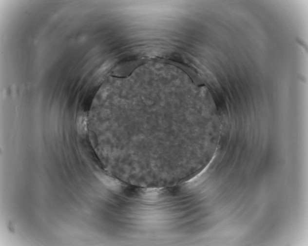 X0000096490191200802071951