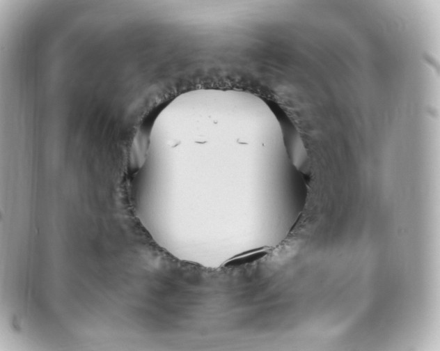 X0000096490192200802071951