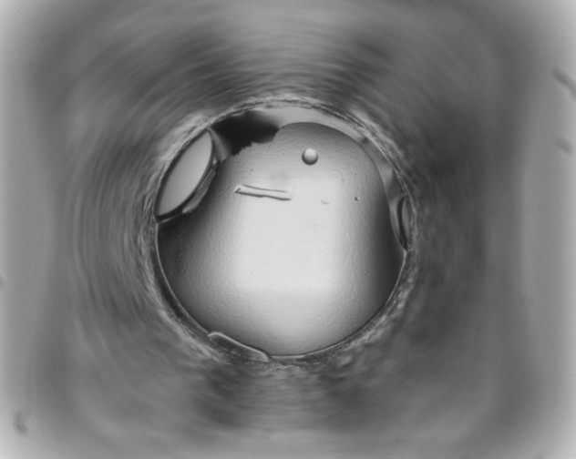 X0000096490193200802071950