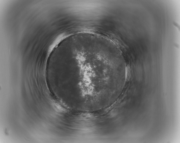 X0000096490195200802071950