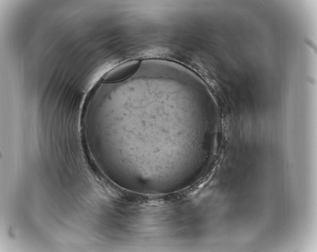 X0000096490196200802071950