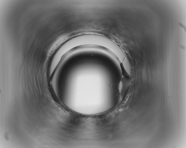 X0000096490197200802071950