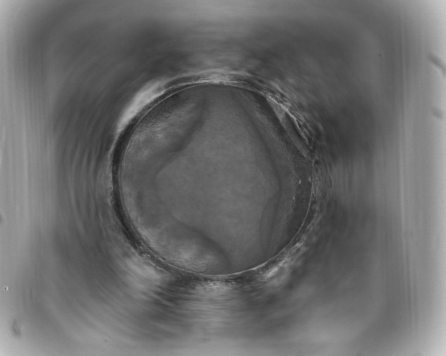 X0000096490198200802071950