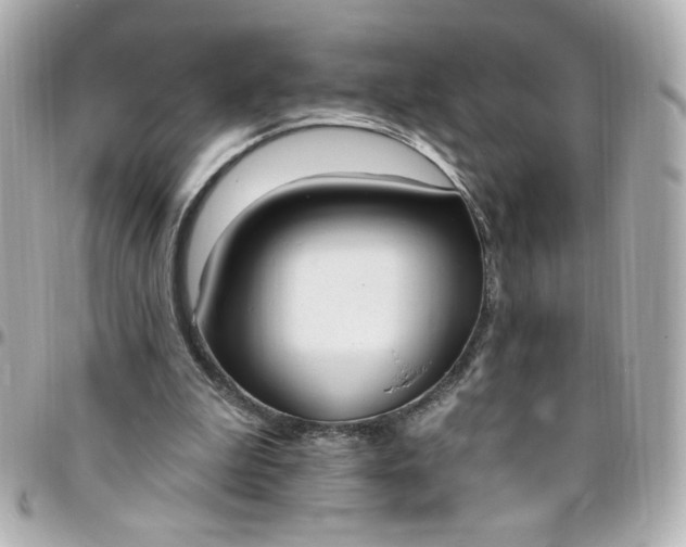 X0000096490199200802071950