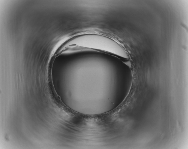 X0000096490200200802071950