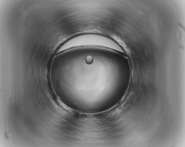 X0000096490201200802071950