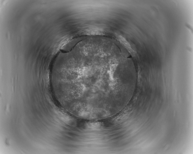 X0000096490202200802071950