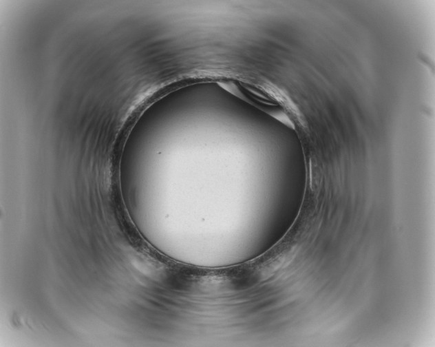 X0000096490204200802071950