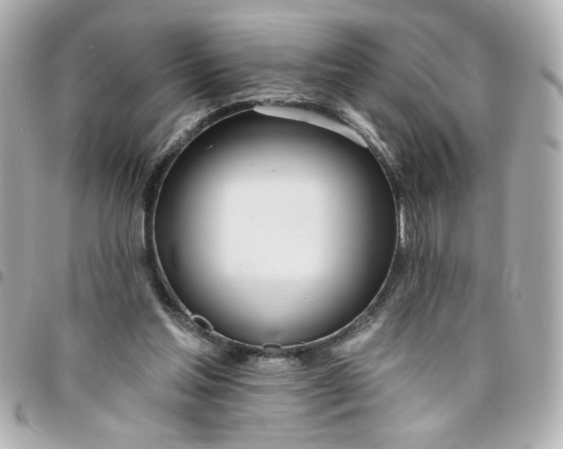 X0000096490205200802071950