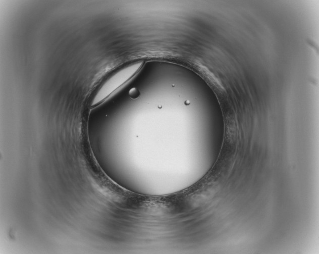 X0000096490207200802071950