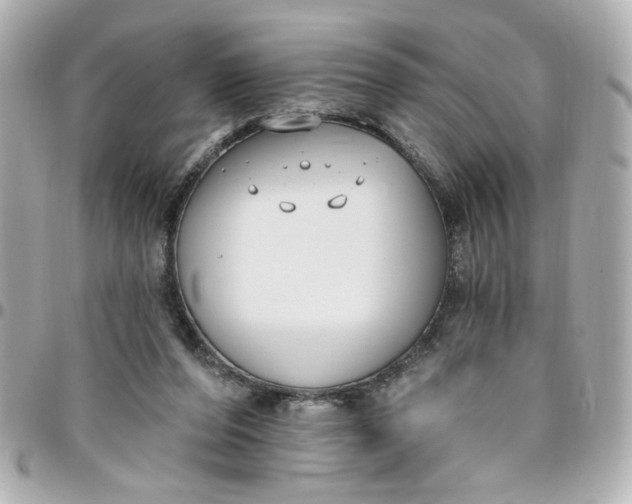 X0000096490208200802071950