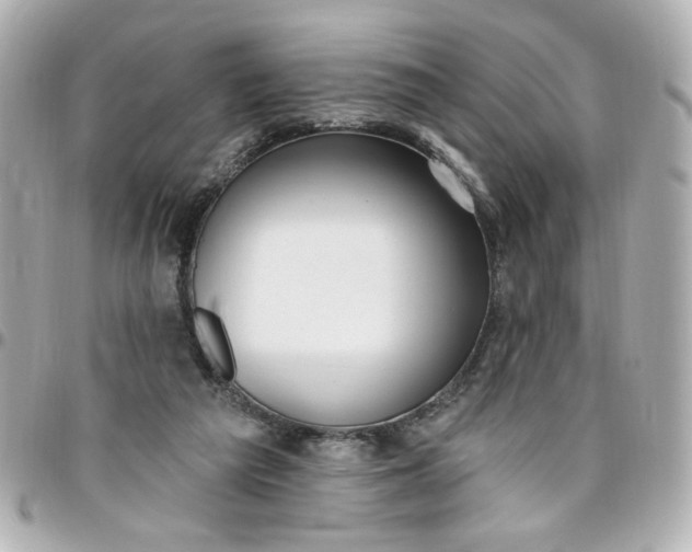 X0000096490209200802071950