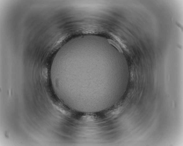 X0000096490211200802071950