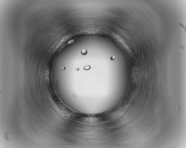 X0000096490212200802071950