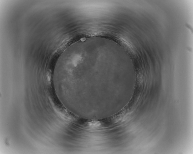 X0000096490214200802071950