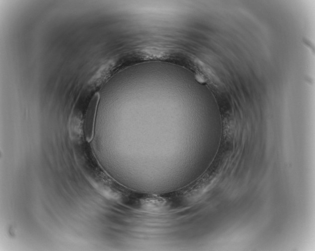 X0000096490215200802071950