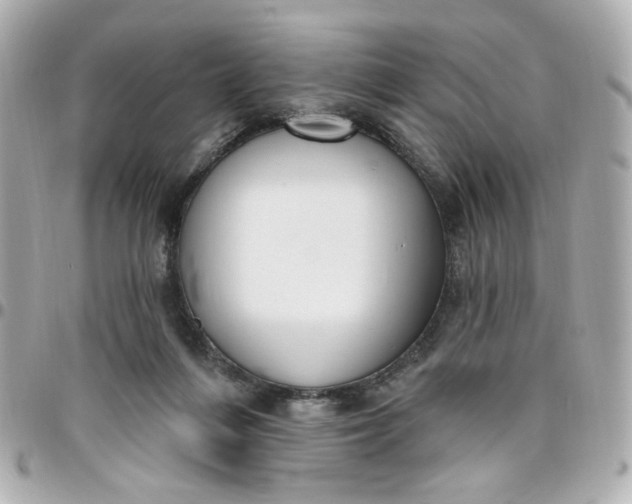 X0000096490216200802071950