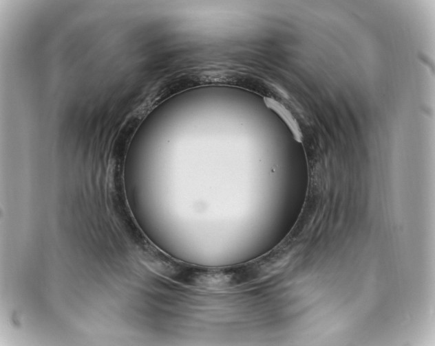 X0000096490217200802071950