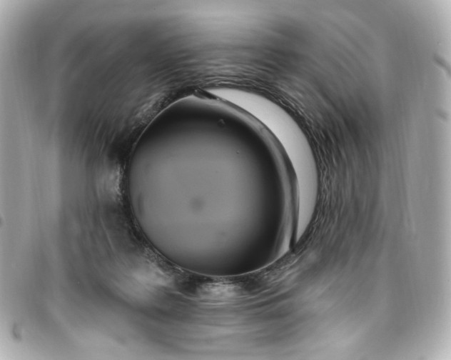 X0000096490219200802071950