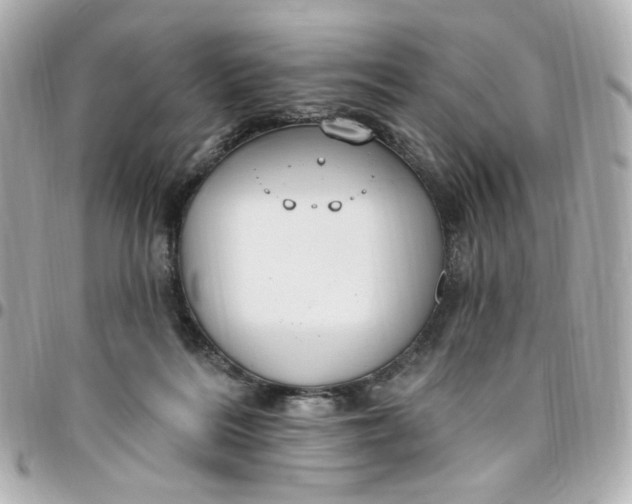 X0000096490220200802071950